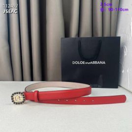 Picture of DG Belts _SKUDGbelt25mmX90-110cm8L021109